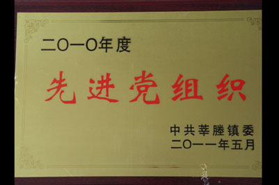 2010先进党组织