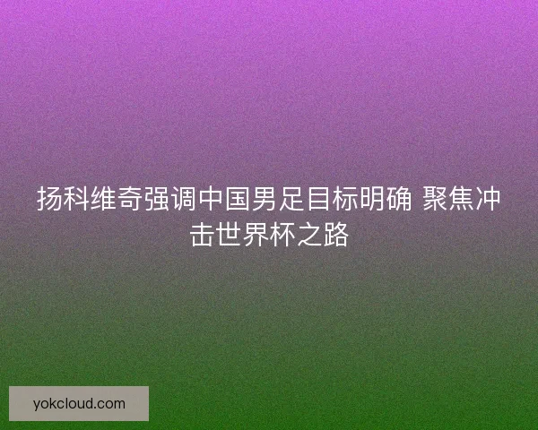 扬科维奇强调中国男足目标明确 聚焦冲击世界杯之路